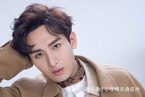 成毅娱乐圈深度爆料,娱乐圈背后的真实故事与深度爆料